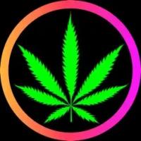 420Portal: Weed &amp; Cannabis