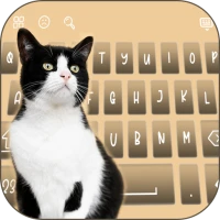 Cute Cat Keyboard