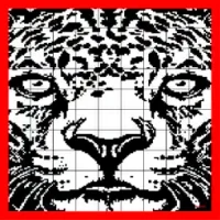 Nonogram 9