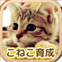 Cat Healing Life