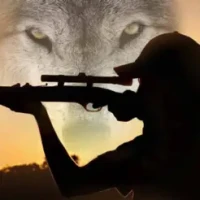 3D Wild Hunting Call 2