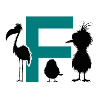Flock: The App