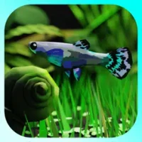 AquaPlants