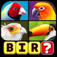 Word Puzzle: Guess the Word