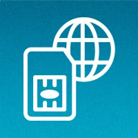 International SIM