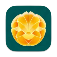 MTG Scanner - Lion’s Eye