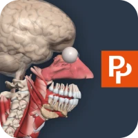 Primal’s 3D Human Anatomy Quiz